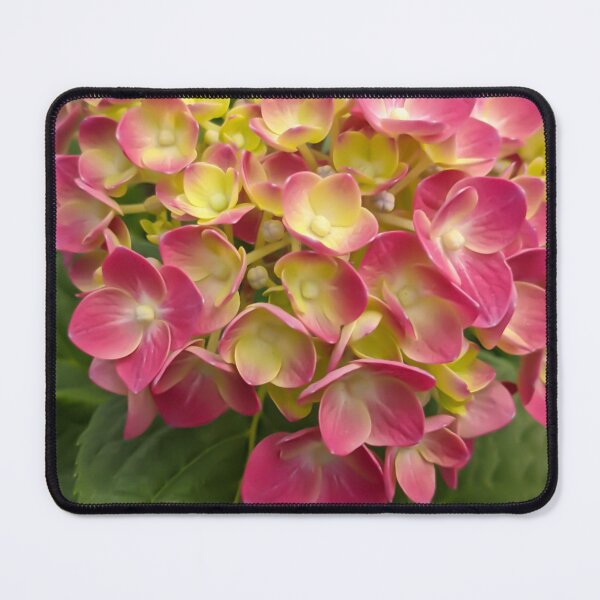 Artikelvorschau, Soft pink hydrangea entworfen und verkauft von KCAbdelnour.
