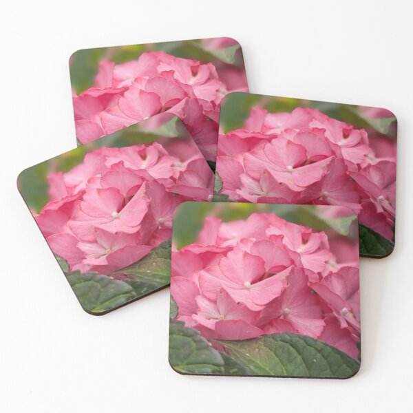 Item preview, Bright pink hydrangea designed and sold by KCAbdelnour.