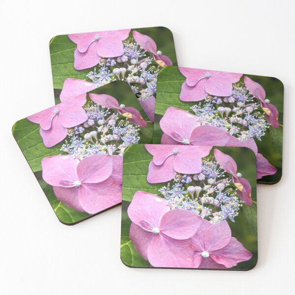 Item preview, Butterfly flowers designed and sold by KCAbdelnour.
