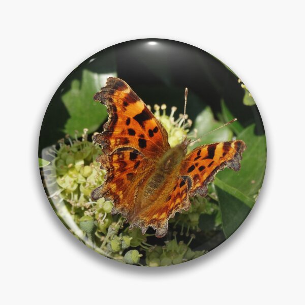 Item preview, Polygonia Butterfly designed and sold by Shawks.