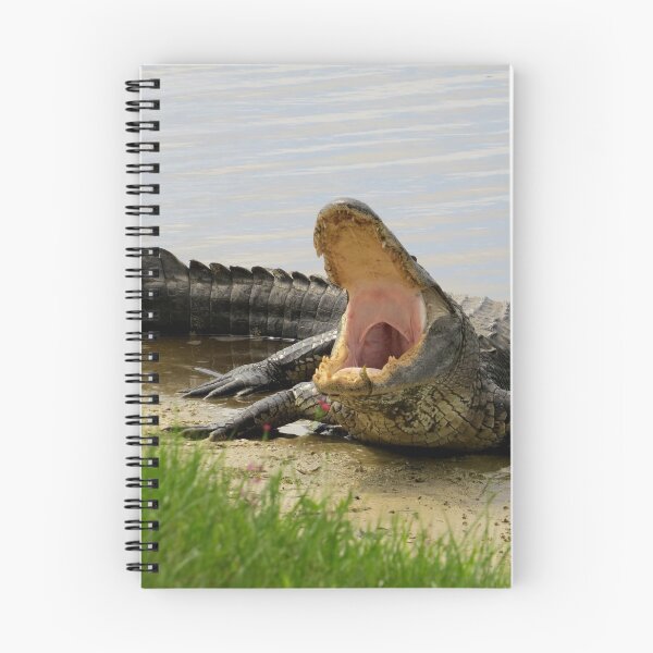 Item preview, Alligator. Boring and yawning designed and sold by Zina Stromberg.