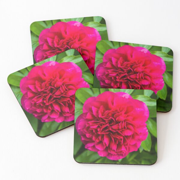 Item preview, A Beautiful Red Peony in May  designed and sold by Cameranick.