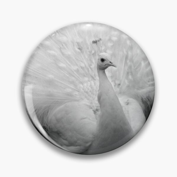 Item preview, White albino peacock bird posing designed and sold by AleFairyland.