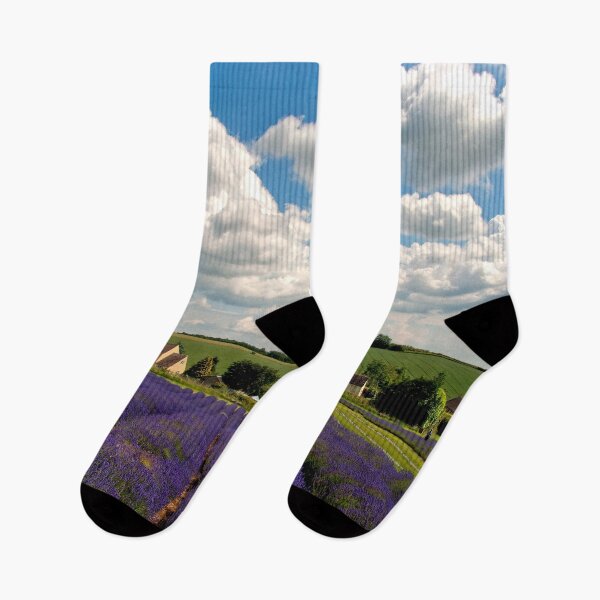 Item preview, Lavender Field Summer Flowers Cotswolds Gloucestershire England designed and sold by AndyEvansPhotos.