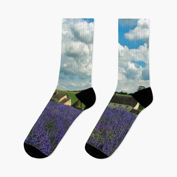 Item preview, Lavender Field Summer Flowers Cotswolds Gloucestershire England designed and sold by AndyEvansPhotos.