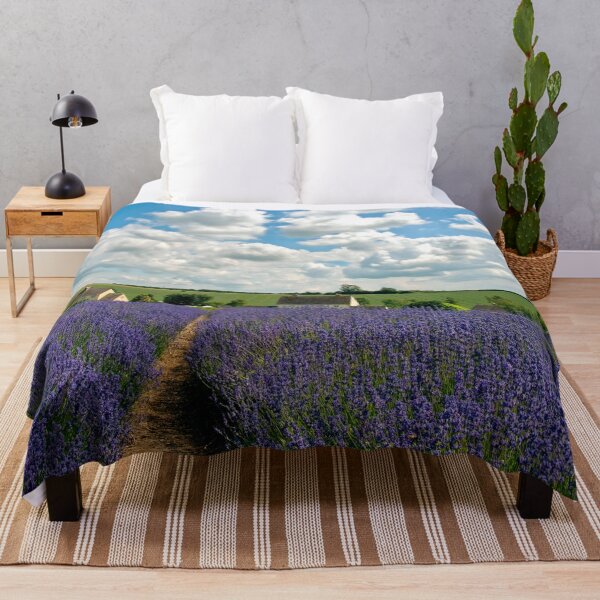 Item preview, Lavender Field Summer Flowers Cotswolds Gloucestershire England designed and sold by AndyEvansPhotos.