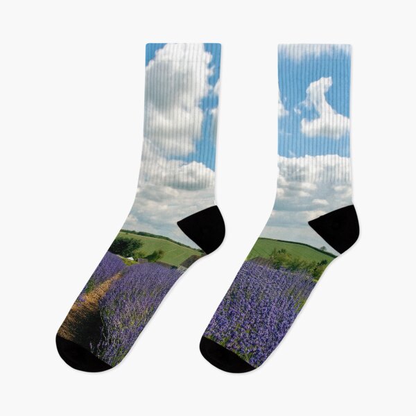 Item preview, Lavender Field Summer Flowers Cotswolds Gloucestershire England designed and sold by AndyEvansPhotos.