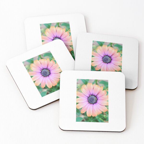 Item preview, Osteospermum  designed and sold by SazB33.