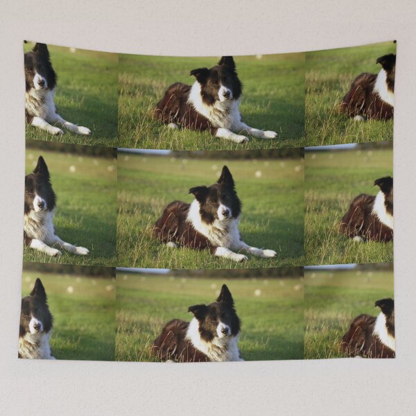 Item preview, A moment of reflection. designed and sold by Michael Haslam.