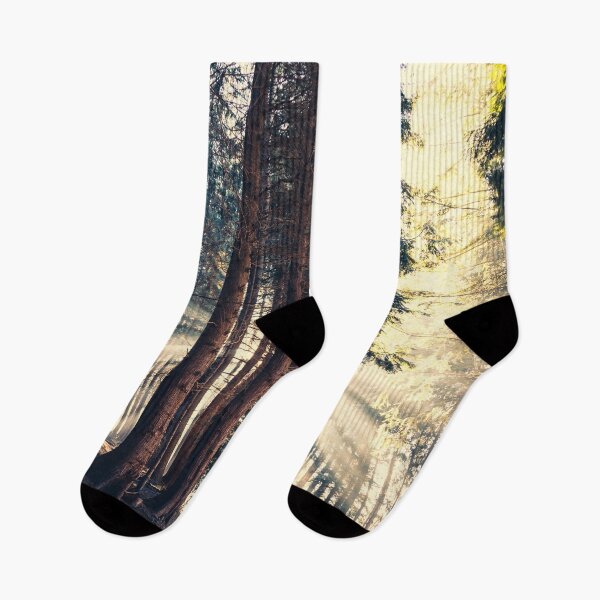 Item preview, Woodland in Morning Light designed and sold by Dyrk Wyst Redbubble Shop.