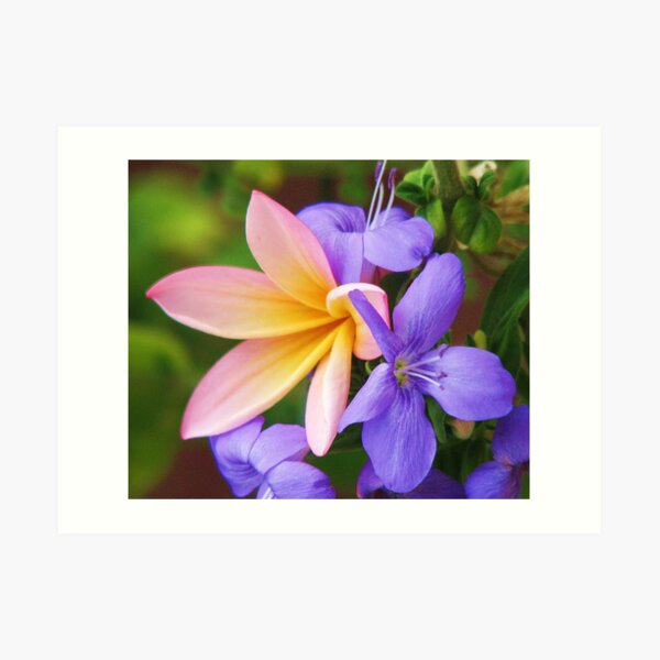 Floral Frieze Art Print