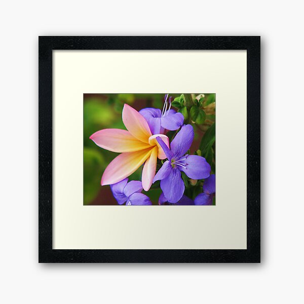 Floral Frieze Framed Art Print