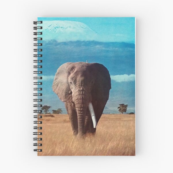 Item preview, African elephant and Kilimanjaro mount designed and sold by arkitekta.