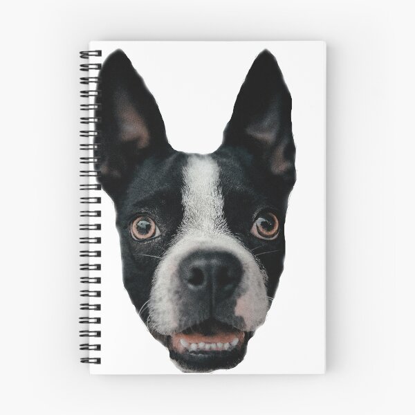 Artikelvorschau, Boston terrier portrait entworfen und verkauft von Harleqindesign.