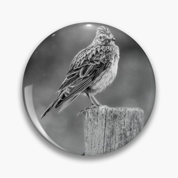 Item preview, Skylark designed and sold by photobytableau.