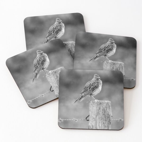 Item preview, Skylark designed and sold by photobytableau.