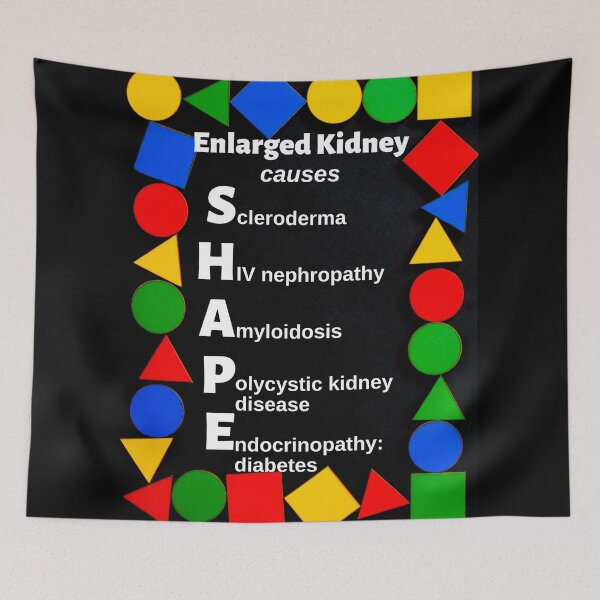 Item preview, Enlarged Kidney Causes Medical Mnemonic designed and sold by Caregiverology.