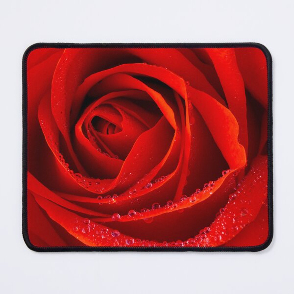 Item preview, Red Rose designed and sold by Tanya C Smith.