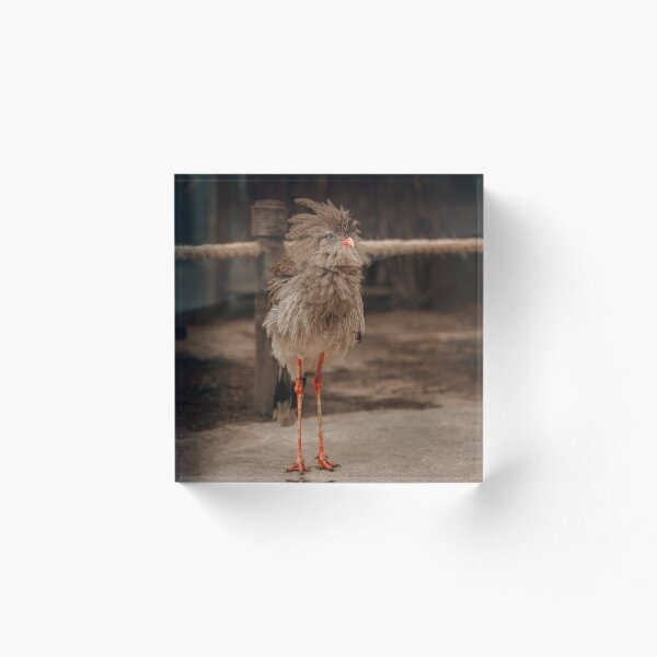 Item preview, Chick Mike designed and sold by BenDover90.