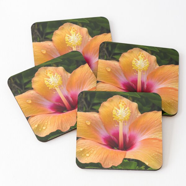 Item preview, Orange hibiscus and dew drops designed and sold by Zina Stromberg.