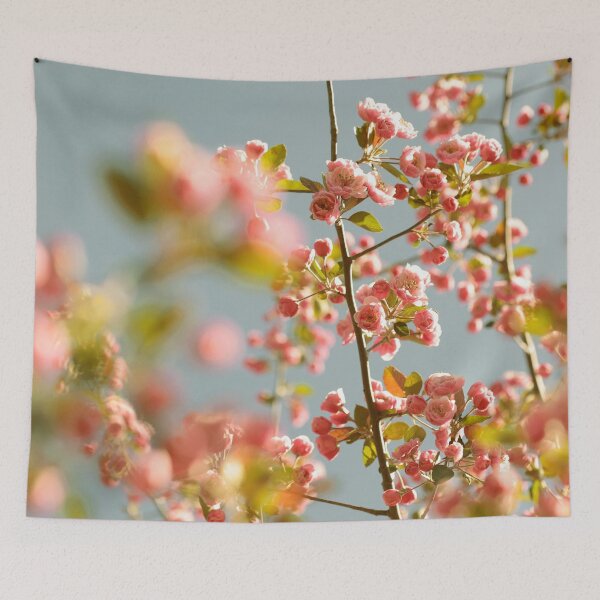 Item preview, Sherbet Sky designed and sold by ALICIA BOCK.