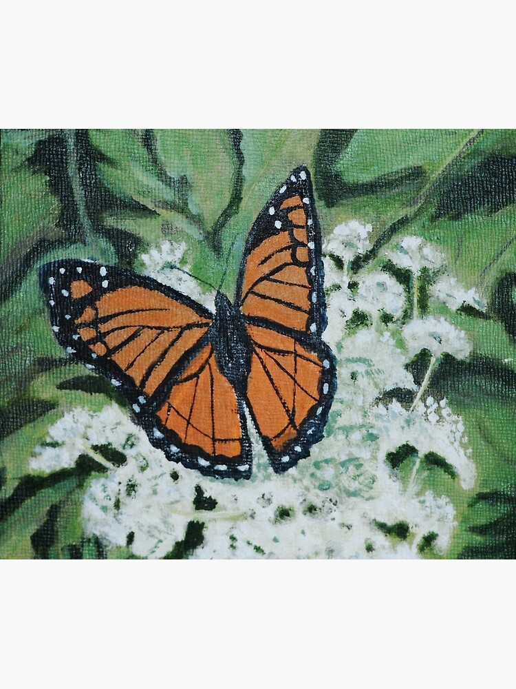Monarch Butterfly on Queen Anne's Lace by irenebernhardt