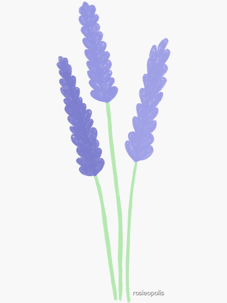 "Aesthetic & Simple Drawing of Lavender" Sticker for Sale by