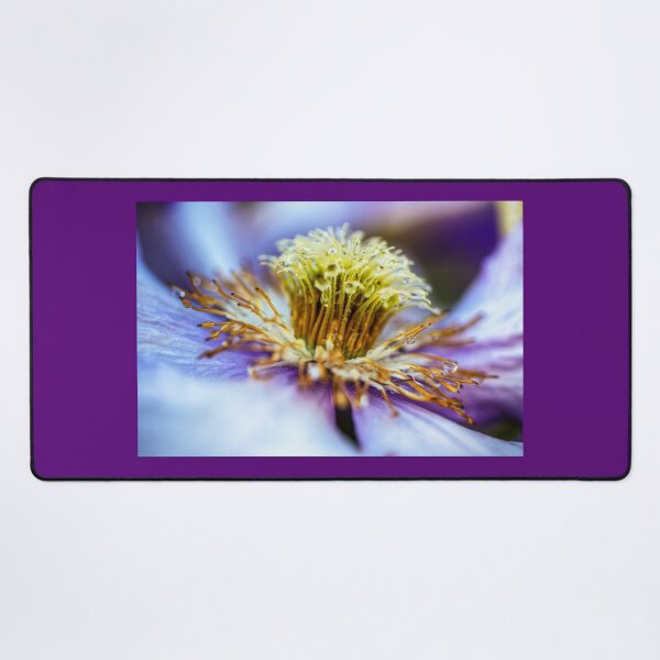 Item preview, Water Drops On Clematis Flower designed and sold by Paul Thompson Photography.