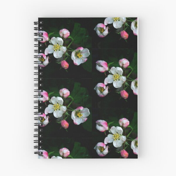 Item preview, Apple blossoms in pink and white designed and sold by walstraasart.