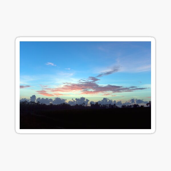 Wispy ~ FNQ Summer Dawn Sticker