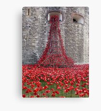 A Cascade Of Poppies At The Tower Of London Canvas Print