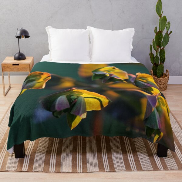 Item preview, Euphorbia at sunset designed and sold by cuprum.