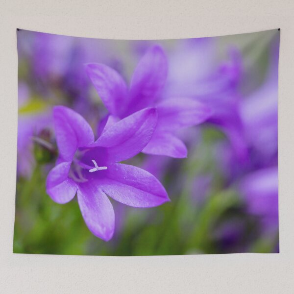 Item preview, Purple Campanula Flowers designed and sold by Tanya C  Smith.
