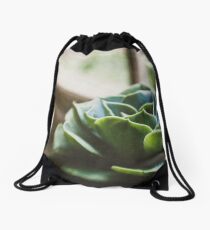Succulent In The Window Drawstring Bag