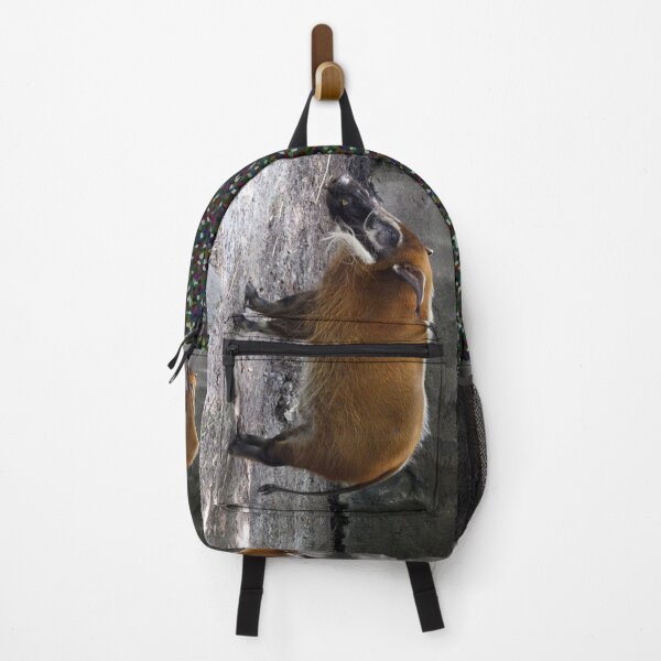 Item preview, Yep, A Red River Hog Norfolk Virginia Zoo designed and sold by BGGretchen.