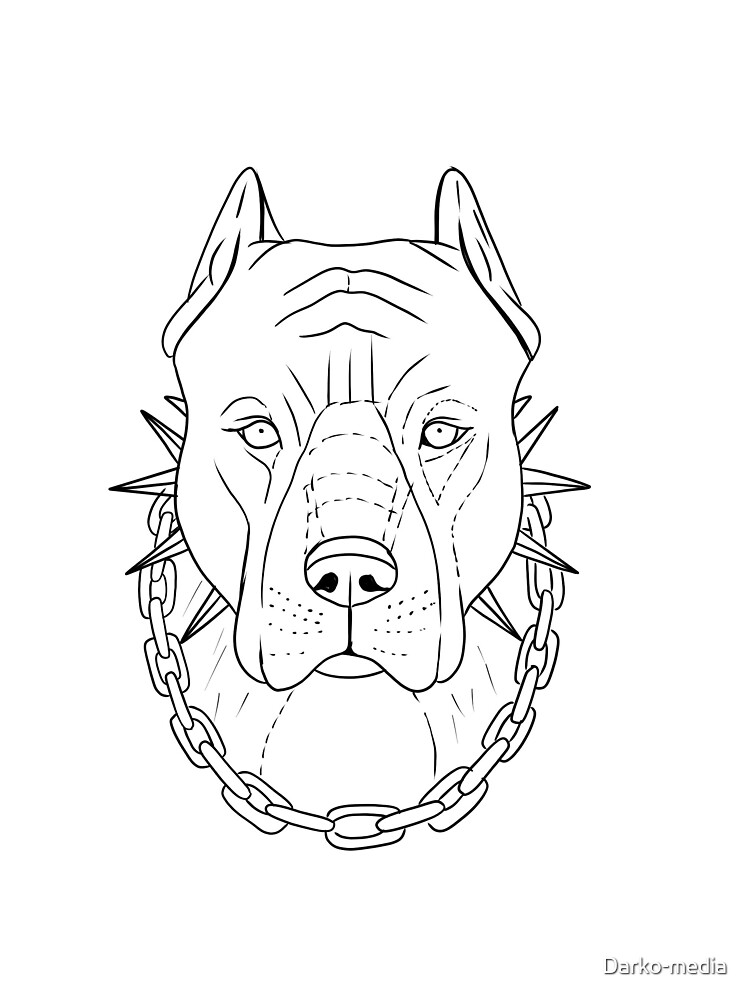 "Purebred Pitbull puppies, Dog Hard Core PitBull with chain on neck