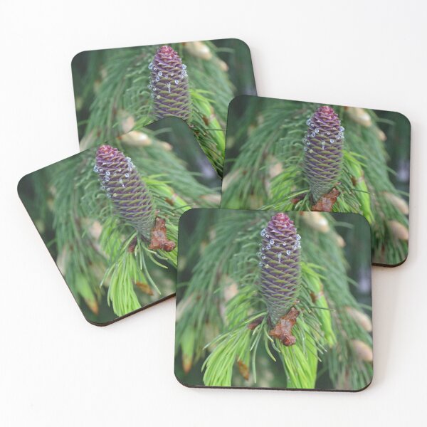 Item preview, Spring Strobilus designed and sold by PlaidPancakes.