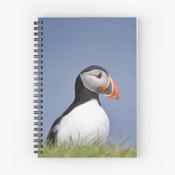 Item preview, Puffin on Grimsey designed and sold by elisainiceland.
