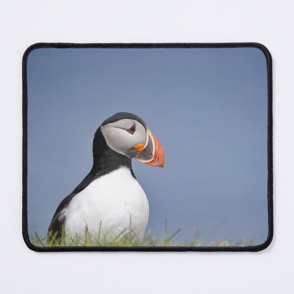 Item preview, Puffin on Grimsey designed and sold by elisainiceland.