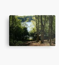 Lake through the Trees Metal Print