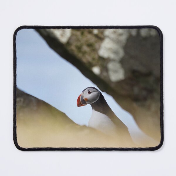 Item preview, Puffin hiding behind a rock designed and sold by elisainiceland.