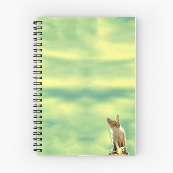 Item preview, Kit Adventures designed and sold by J. L. Gould.