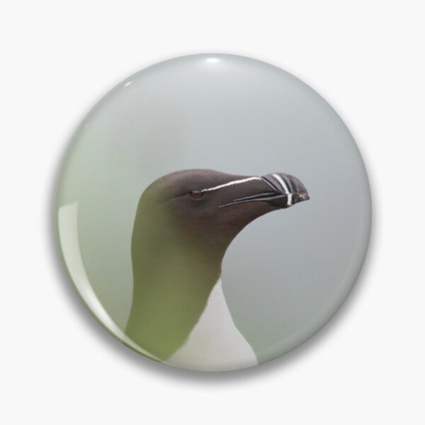 Item preview, Razorbill with muted background designed and sold by HazelWright.
