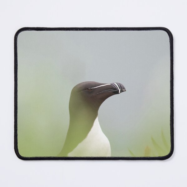 Item preview, Razorbill with muted background designed and sold by HazelWright.