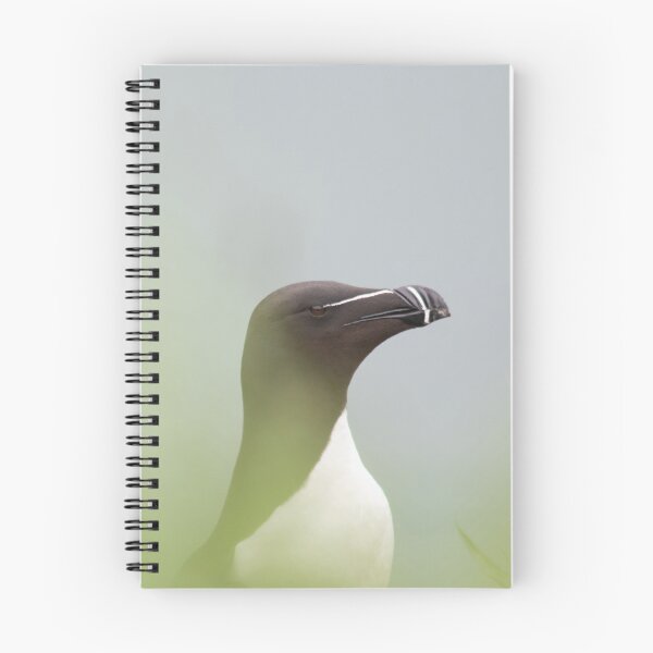 Item preview, Razorbill with muted background designed and sold by HazelWright.