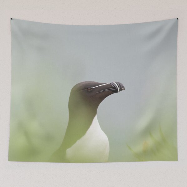 Item preview, Razorbill with muted background designed and sold by HazelWright.
