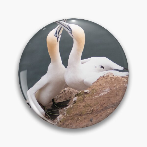 Item preview, Pair of gannets designed and sold by HazelWright.