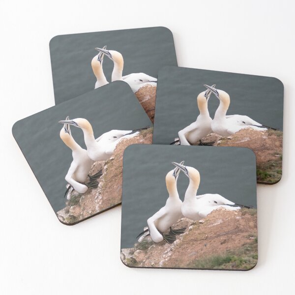Item preview, Pair of gannets designed and sold by HazelWright.
