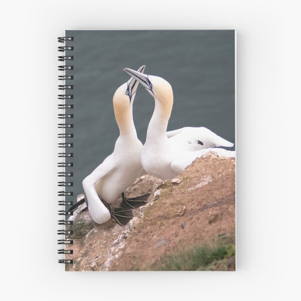 Item preview, Pair of gannets designed and sold by HazelWright.