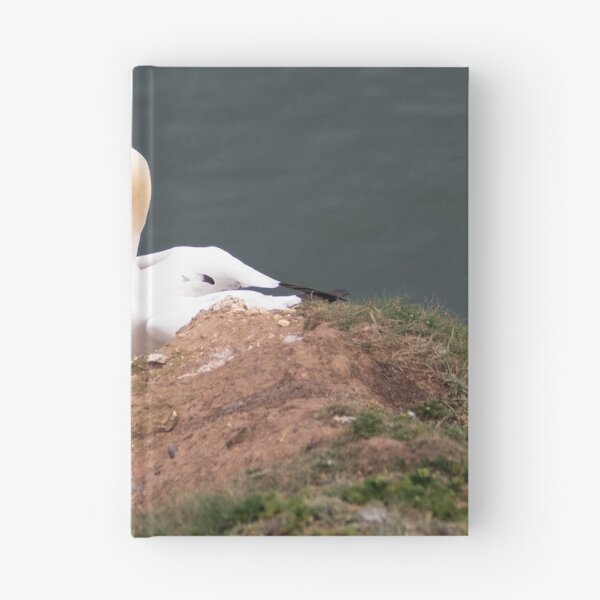Item preview, Pair of gannets designed and sold by HazelWright.